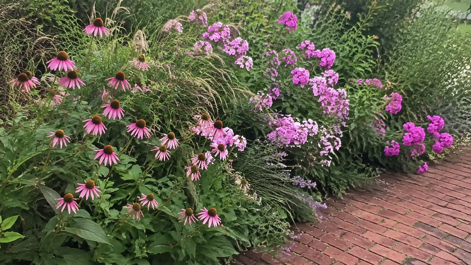 A mingled border with no bare soil showing between the plants