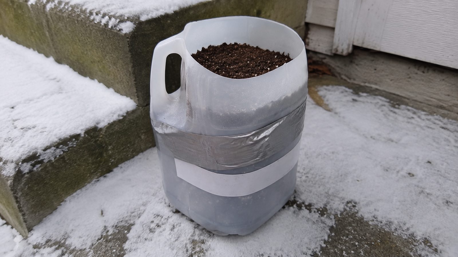 A milk jug cut and taped, sitting outside as a winter sowing container