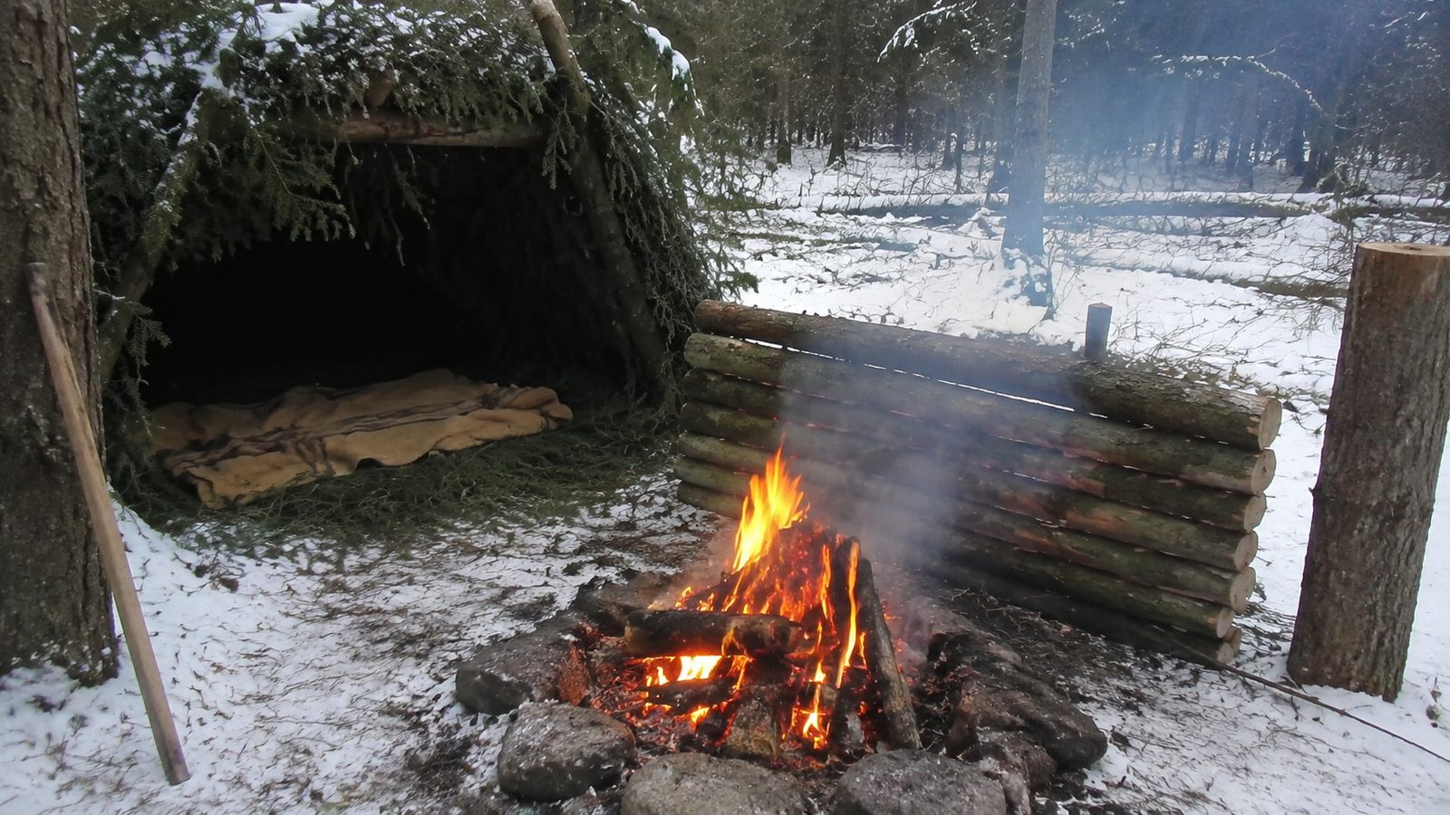 A campfire with a log reflector wall behind it beside a lean-to