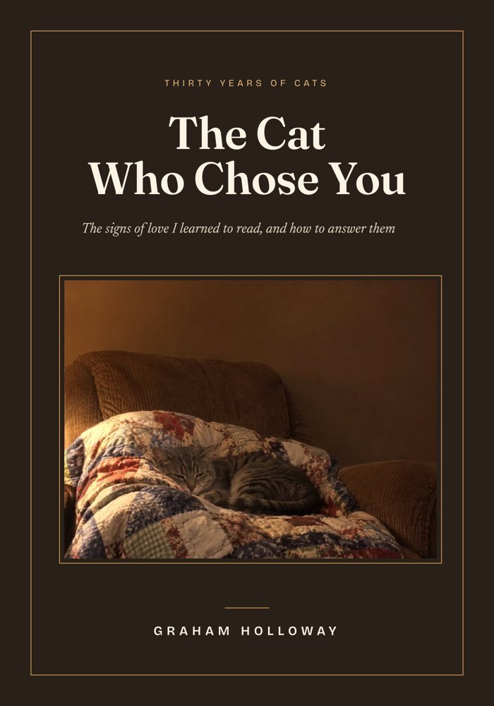 The Cat Who Chose You, by Graham Holloway