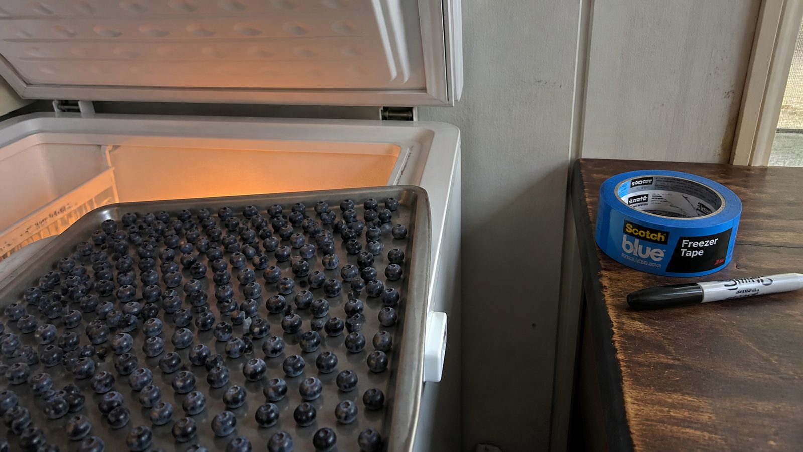 A freezer drawer of neatly portioned, labeled food